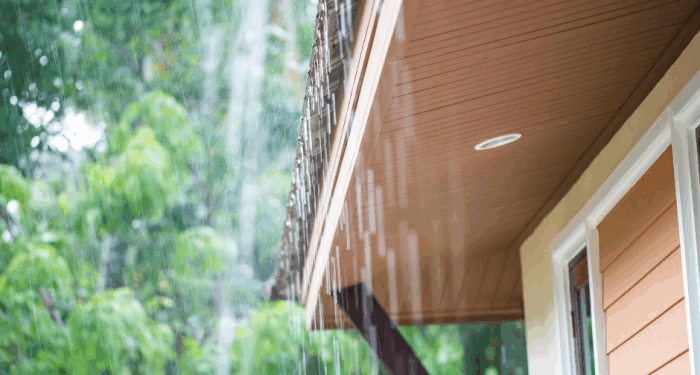 Choosing the Best Siding for Different Climates: A Comprehensive Guide ...